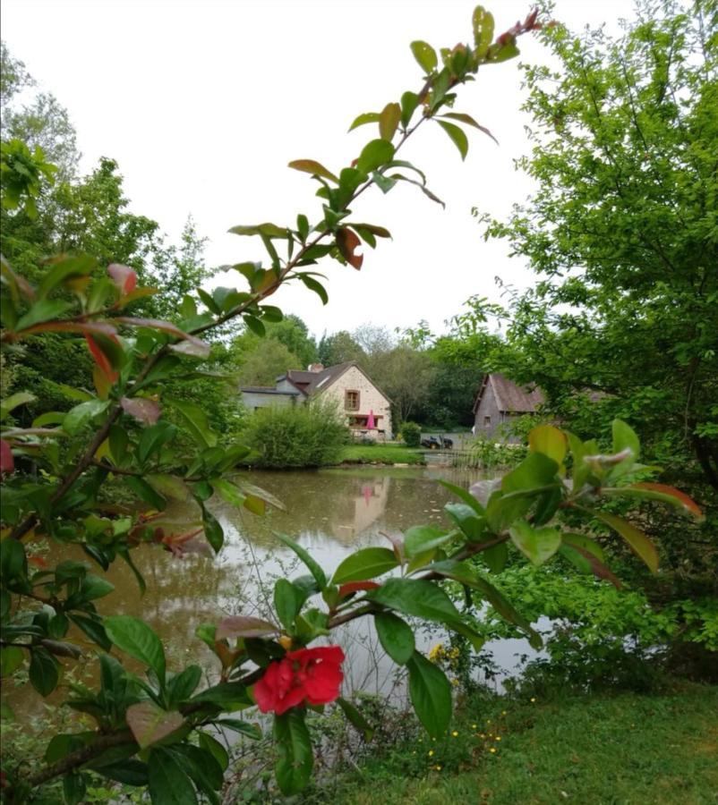 24H Le Mans - Les Haies Gite, Near Le Mans Circuit Villa Coulans-sur-Gee Ngoại thất bức ảnh